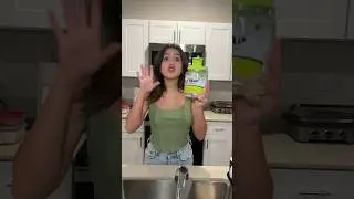 INVASIÓN DE MOSCAS EN MI CASA