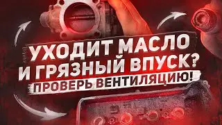 Профилактика системы вентиляции картерных газов Positive Crankcase Ventilation