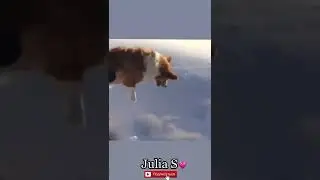 •Иллюзии, которые сведут тебя с ума👁