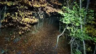 RELAXING SOUNDS: Night Hike with Water Sounds and Footsteps