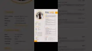 best resume 2022, best Resume design, best resume format for freshers, best resume maker app