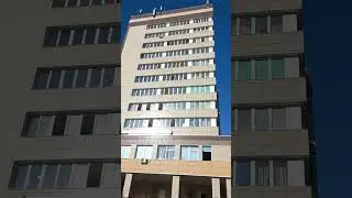 7 сентября 2024 г.