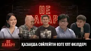 Дайаана Портнягина. Тим Меадор. Владислав Тен. «Не ХАБАР?»