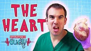 Operation Ouch - The Heart | Amazing Body Facts for Kids