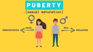 Late Puberty vs Early Puberty 😳 Puberty Stages