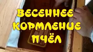 ВЕСЕННЯЯ ПОДКОРМКА ПЧЁЛ НА ПАСЕКЕ. ЗАКОНЧИЛИСЬ КОРМА.   ЧТО ДЕЛАТЬ? (Feeding bees in the spring.)