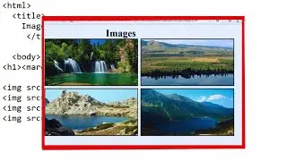 Html Program add Images in Web Pages | How to add Images in Web Page