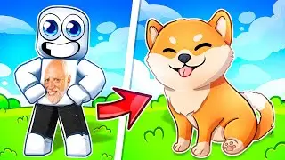 Upgrading to MAX LEVEL DOGE!