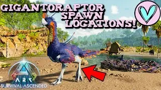 Gigantoraptor Spawn Locations! Ark Survival Ascended