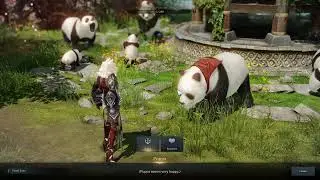 TRANSFORM into PANDA How to PANDA SITTER Quest UNAS TASK Gameplay in LOST ARK