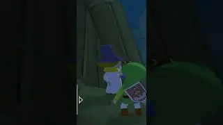 HOW Did He Get There?? | Wind Waker 3 Heart Run