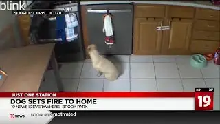 New video shows dog setting fire to Brook Park family’s home