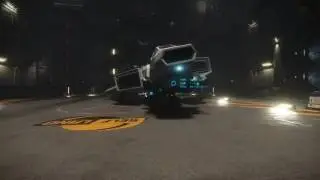 Sick Hornet