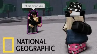 Observing Wildlife in The Strongest Battlegrounds