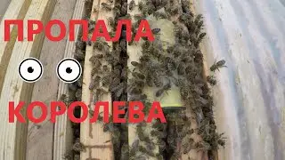 Пропала матка!!!!!!