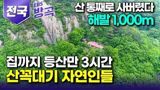 [전국] "첫눈에 반해 산 통째로 샀다" 집까지 등산만 3시간! 속세 떠나 하늘을 앞마당 삼은 사람들┃산꼭대기 오지 살이 모아보기┃#한국기행 #방방곡곡