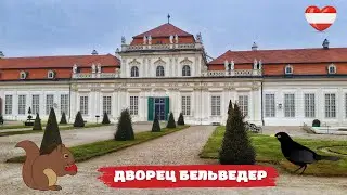 Белка в дворцовом парке Бельведер (Вена, Австрия).