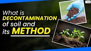 What is Decontamination of Soil | Health and Sustainability | Letstute