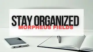 stay organized (morphic field)