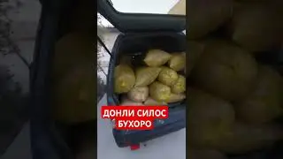 ТУЛИК ВИДЕОСИ ЯКИНДА