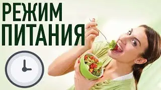 РЕЖИМ ПИТАНИЯ - как есть ПРАВИЛЬНО по времени?