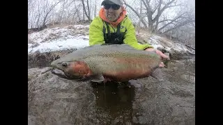 How To Catch Winter Steelhead