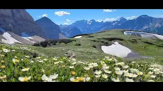 Lee Ridge to Gable Pass to Belly River Ranger Station - Glacier National Park