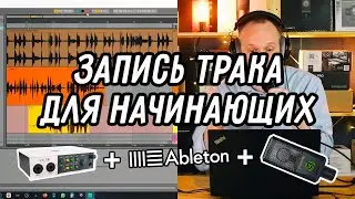 Запись и сведение трека для начинающих с Universal Audio Volt, Ableton live intro, Lewitt LCT240 PRO