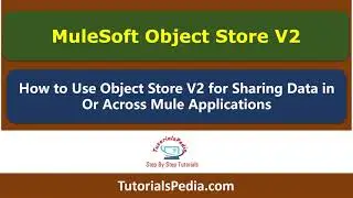 MuleSoft Object Store V2 Tutorial | Object Store Mule 4 | Object Store Connector Operations Mule 4