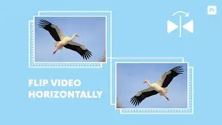 Flip a video horizontally in Premiere Pro