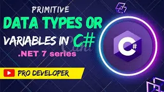 Data types in C# | variables in C# | Pro Developer