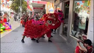 Cabramatta lion dance performance by Yun Yee tong and get ready for Cabramatta moon festival 2024