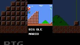 Super Gigantic Mario Bros.