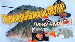 Первая рыбалка на крупного ОКУНЯ! О...куневешная рыбалка получилась!