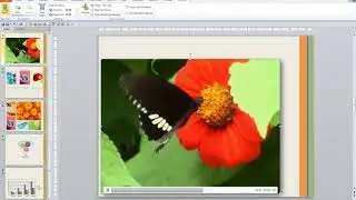 Insert Video and Audio into Microsoft PowerPoint 2010 (Video 13 of 15)