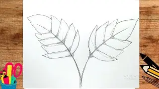 How To Draw A Leaf With Pencil