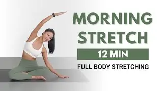 MORNING STRETCH for every day - Full Body Stretching to wake up