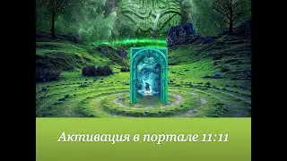 Активация в портале 11 11 Светлана Белицкая