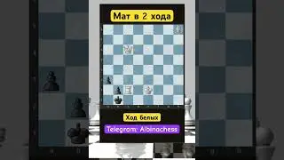 Telegram: Albinachess #chess #шахматы #chorts