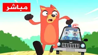 قناة أسرتنا مباشر للاطفال | أغاني تعليم الأطفال | 🔴 Live |