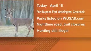 NPS to conduct deer hunts to reduce population at some DC, Maryland national parks