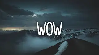 Post Malone - Wow. (Lyrics)