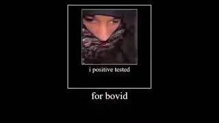 i tested positive for bovid part 3