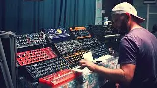 Behringer Synth Family - Acid Prophecy (live)