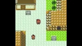 Pokemon Dark Energy - Rocky Village exploration