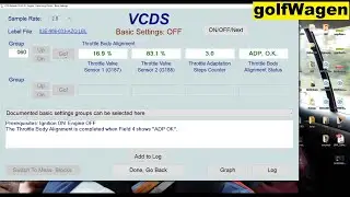 VW Polo throttle body alignment /basic settings/