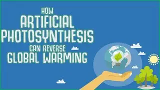 Artificial Photosynthesis OR Plant 2,470,000,000 Trees To Stop Global Warming