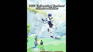 POV: You’re Using Wanderer Without a Shielder (Maybe a Skill Issue)