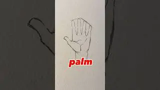 how to draw hand for beginners ✋