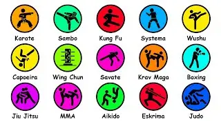 Every Martial Art Type Explained in 12 Minutes